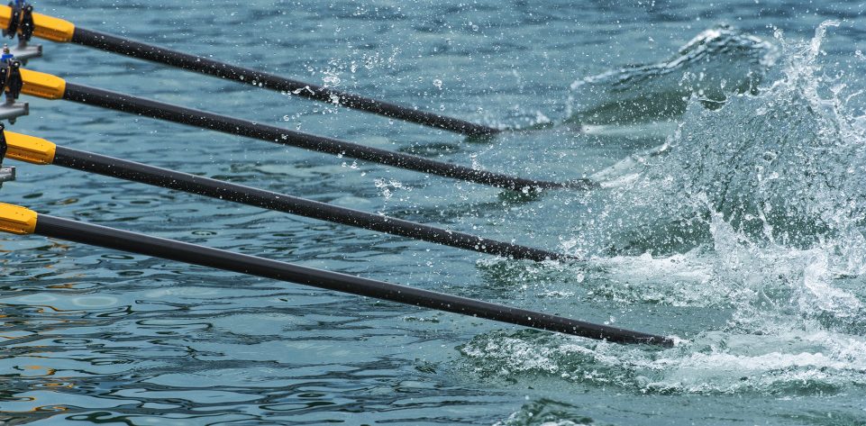 Rowing team's oars slicing through water, close-up